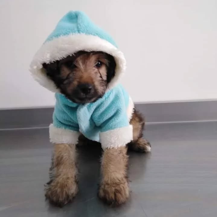 Denia Berdet, w9ayet nelbes kabbouti 🙃...