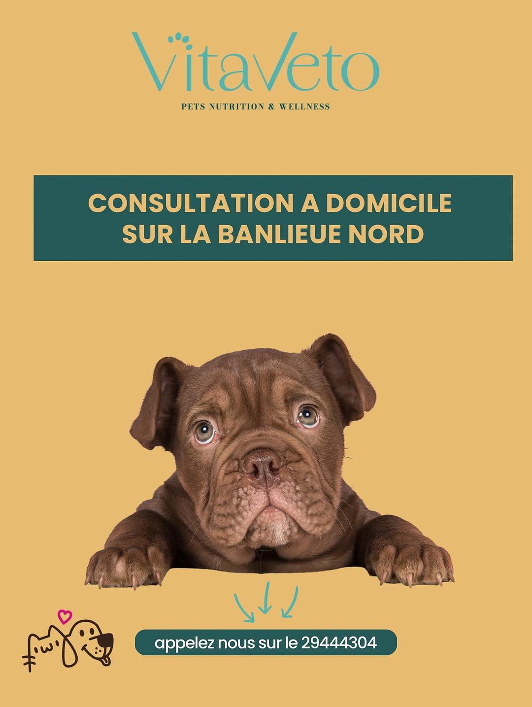 ☎️ 29444304 🐶