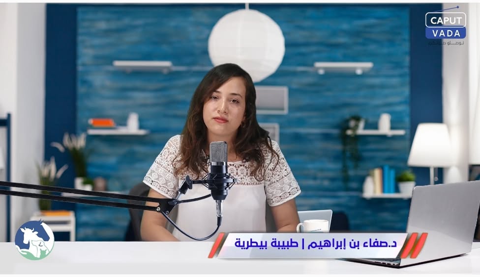 الحلقة الثانية من برنامج _conseil véto_...