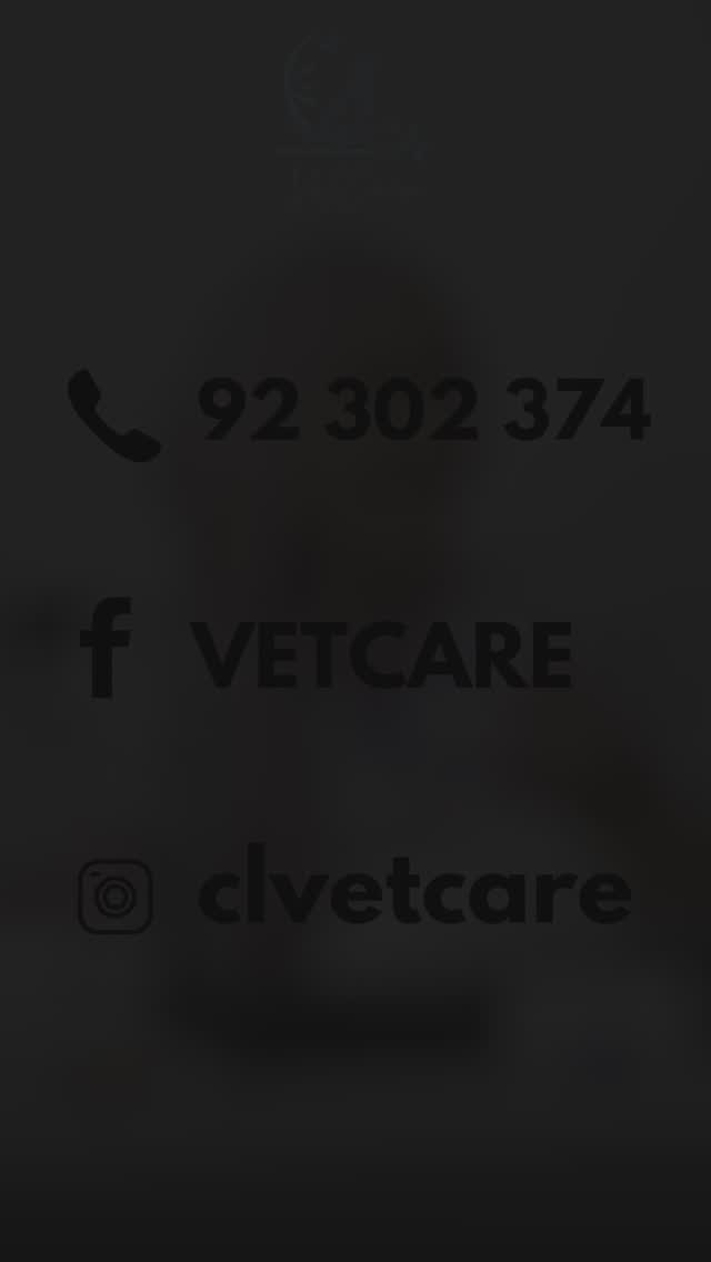 Bienvenue à Cl.VetCare ! 🌟 Je suis Dr S...