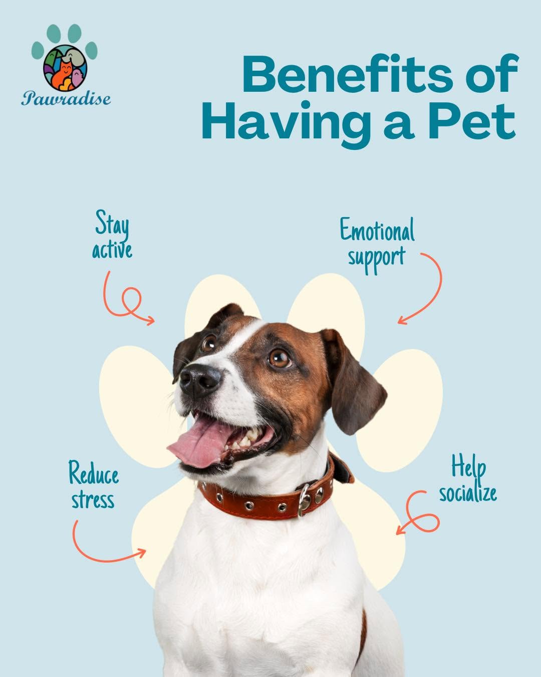 Avoir un animal, c’est avoir un ami qui...