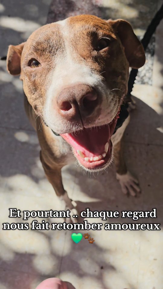 Ils arrivent fragiles, apeurés parfois…...