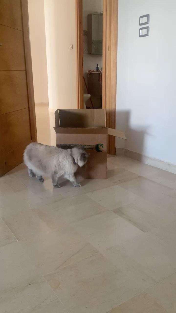 Pas de description disponible