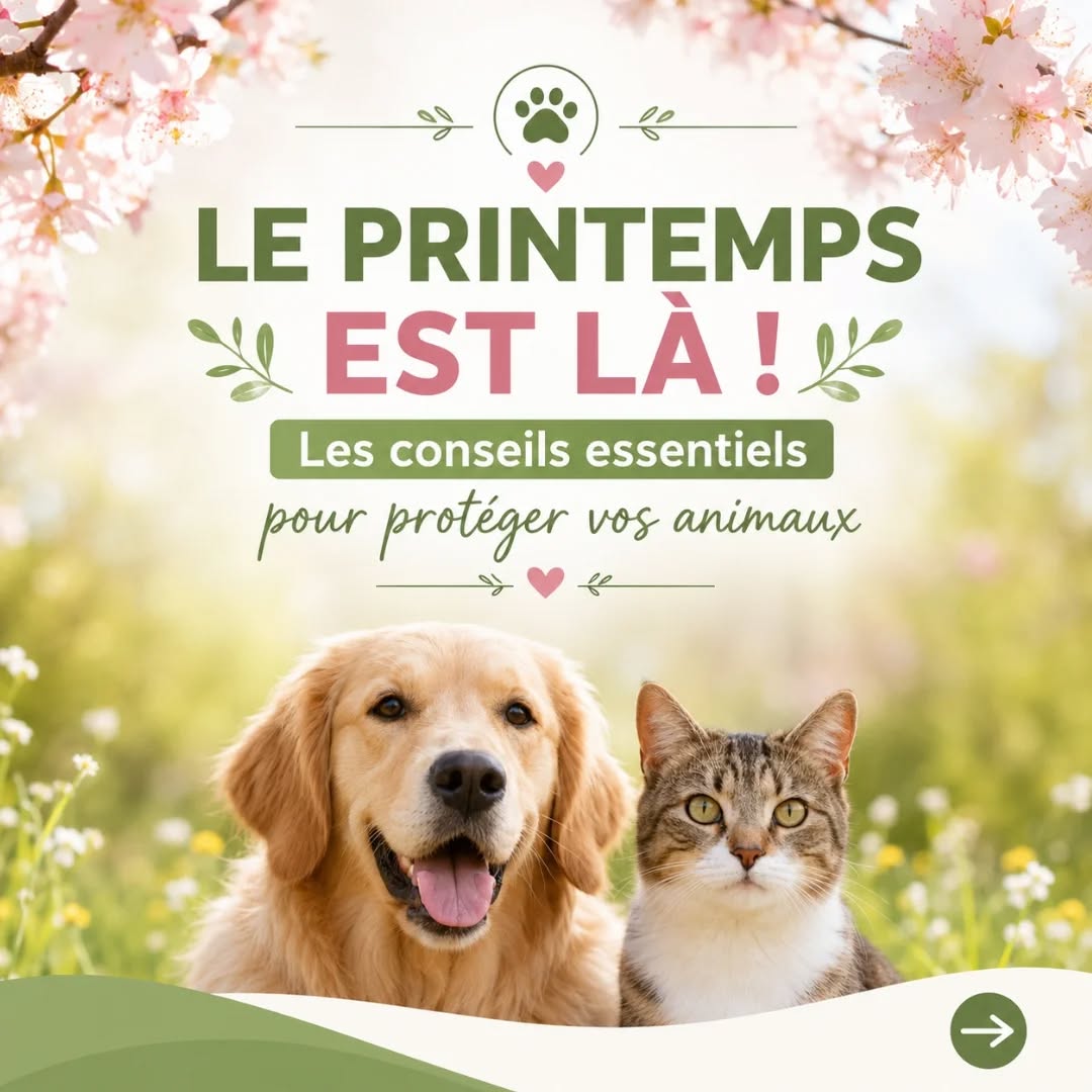 🌸🐾 Le printemps est là… et avec lui qu...