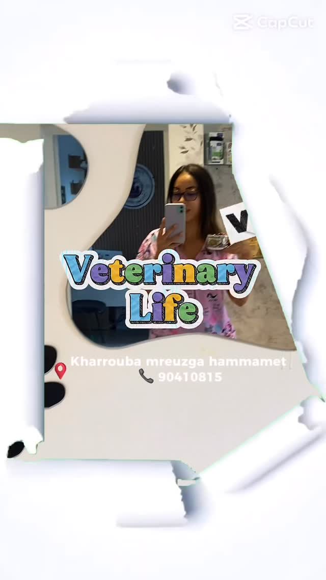 Just a simple day 🐕🐈 #animal #pet #ani...