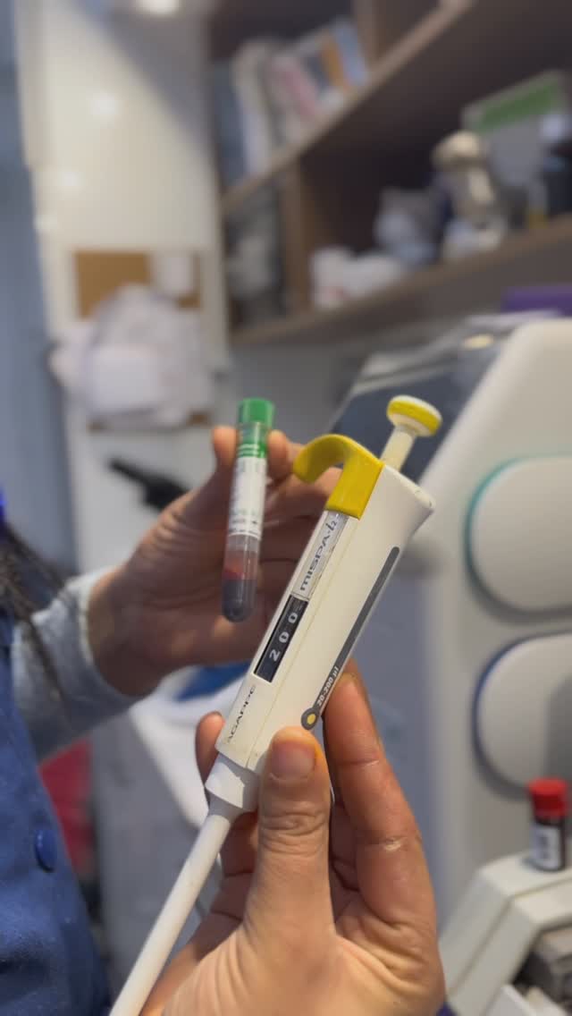 Saillie programmée = portée réussie !🐶
Grâce à l’analyse de la progestérone💉🩸📈, nous déterminons avec précision le meilleur moment pour la reproduction.

#analysis#progestérone#vet#vetlife#dog#laboratory#sousse#cliniqueveterinairesahloul#petlovers#babydog#doglover#vetmed#trend#viral#viralvideos#radiolodie#pet#pets#positivity #veterinaria#veterinary#positivevibes