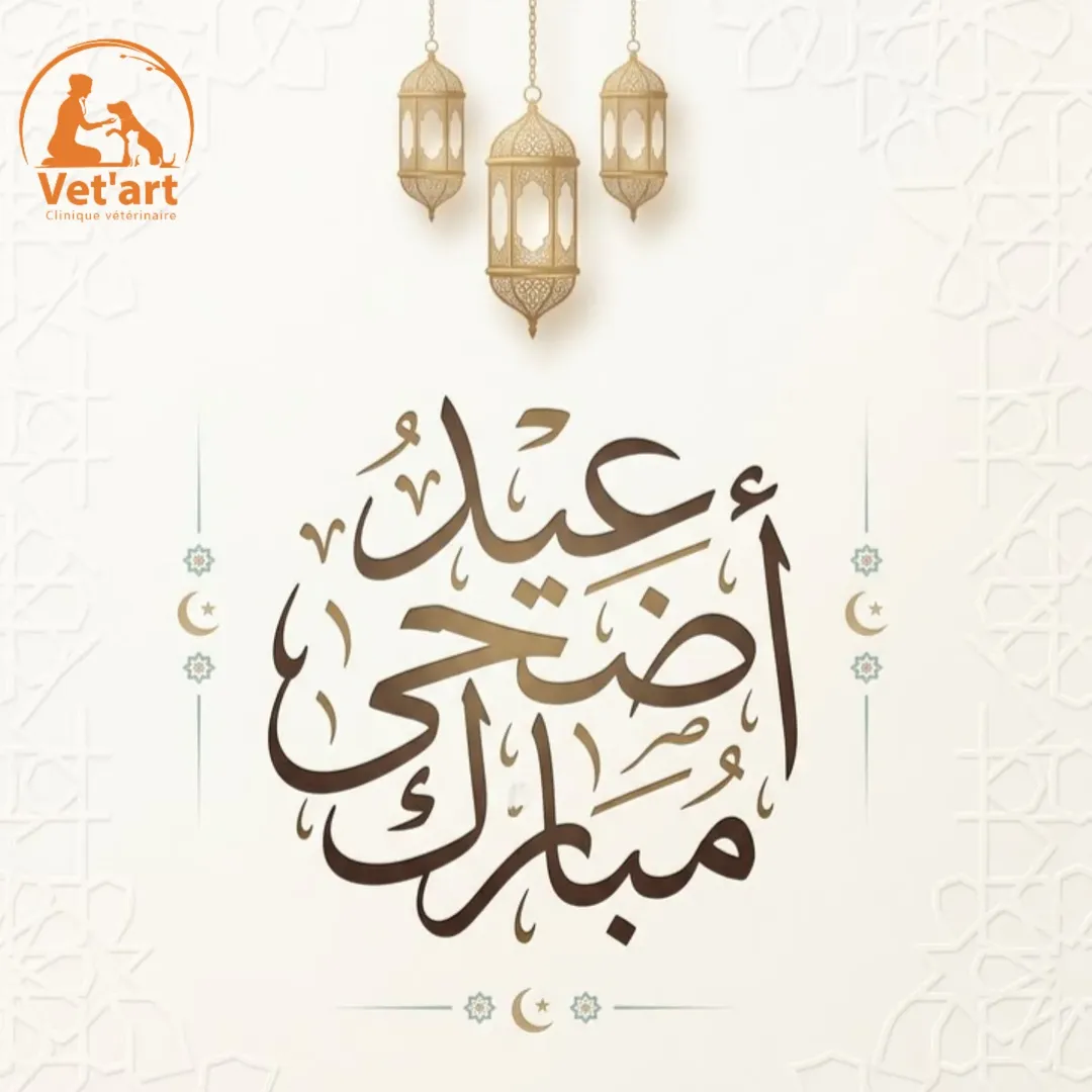 ✨🐑 عيد أضحى مبارك 🐑✨

بمناسبة عيد ال...
