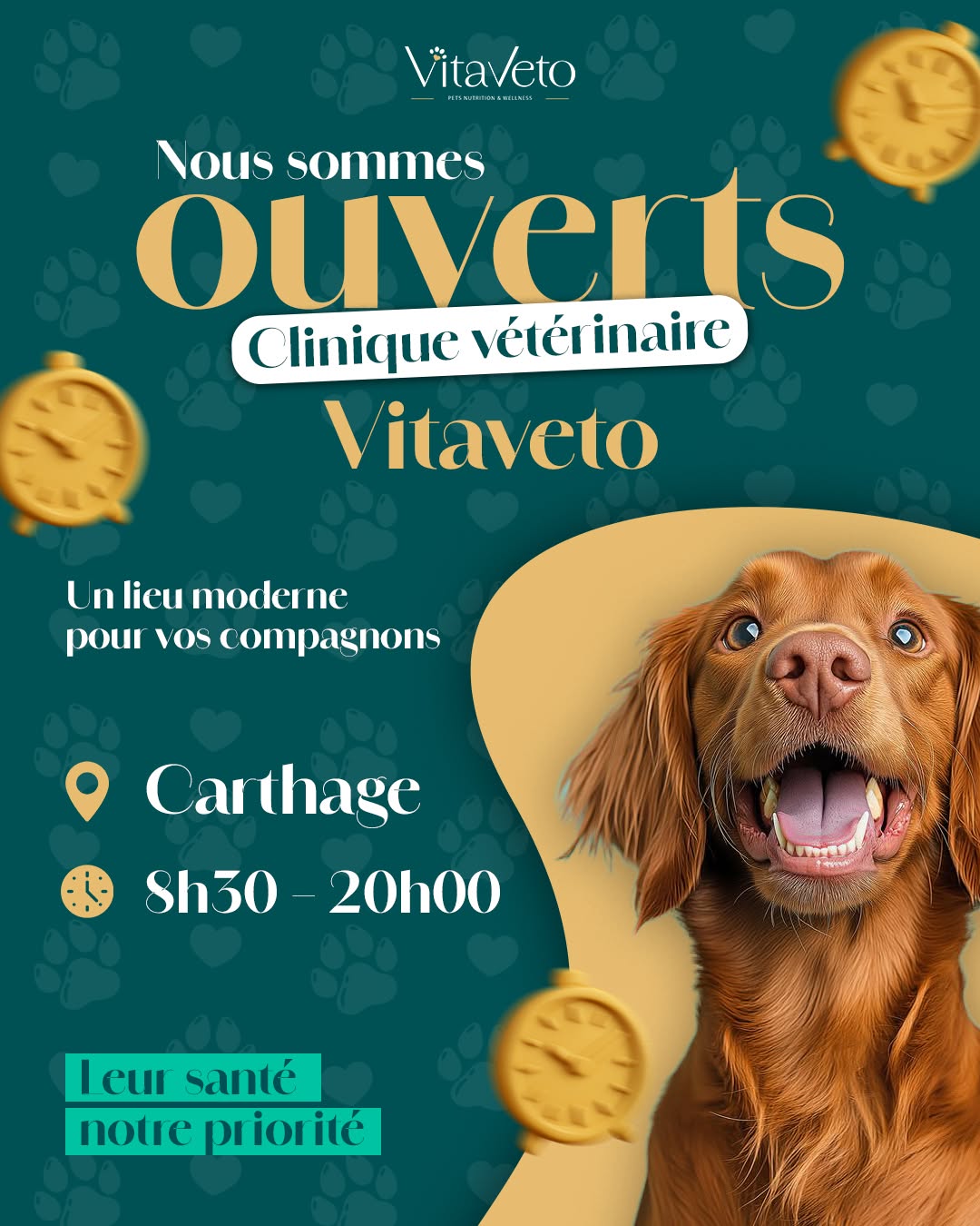🎉 Bonne nouvelle : Vitaveto est ouvert ! 🎉
Votre nouvelle clinique vétérinaire à Carthage 🐾
Un lieu moderne et chaleureux pour prendre soin de vos compagnons 🐶🐱
📍 Carthage
🕒 8h30 – 20h00
📞 53 409 774
✨ Leur santé, notre priorité.
#Vitaveto #CliniqueVétérinaire #Carthage