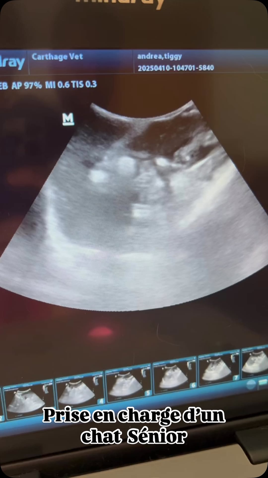 Aujourd’hui c’était le jour du bilan de...