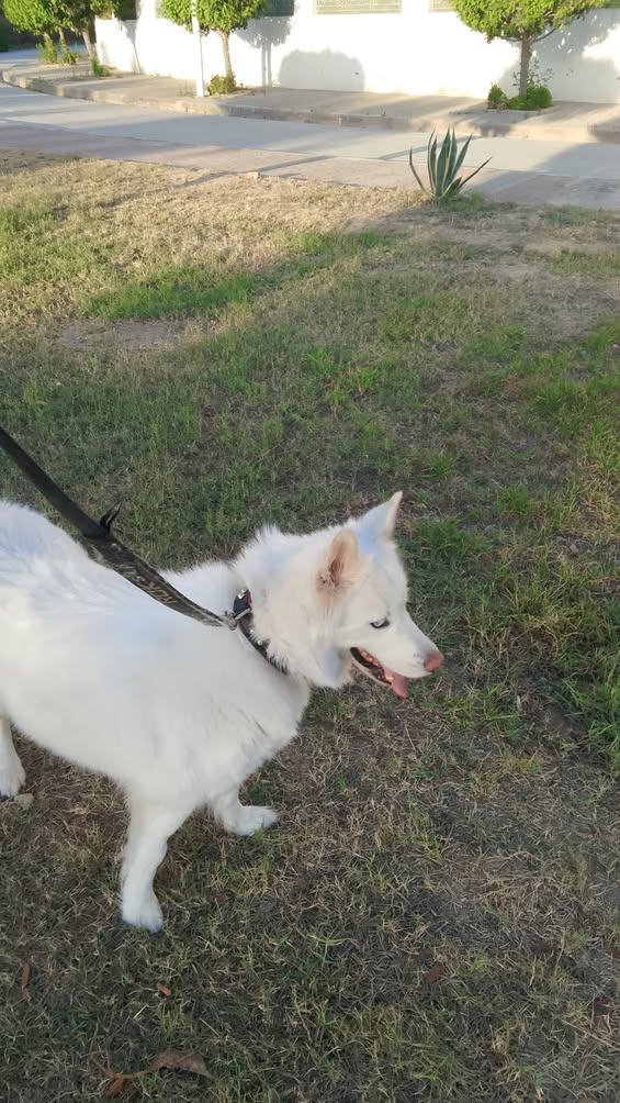 Pas de description disponible