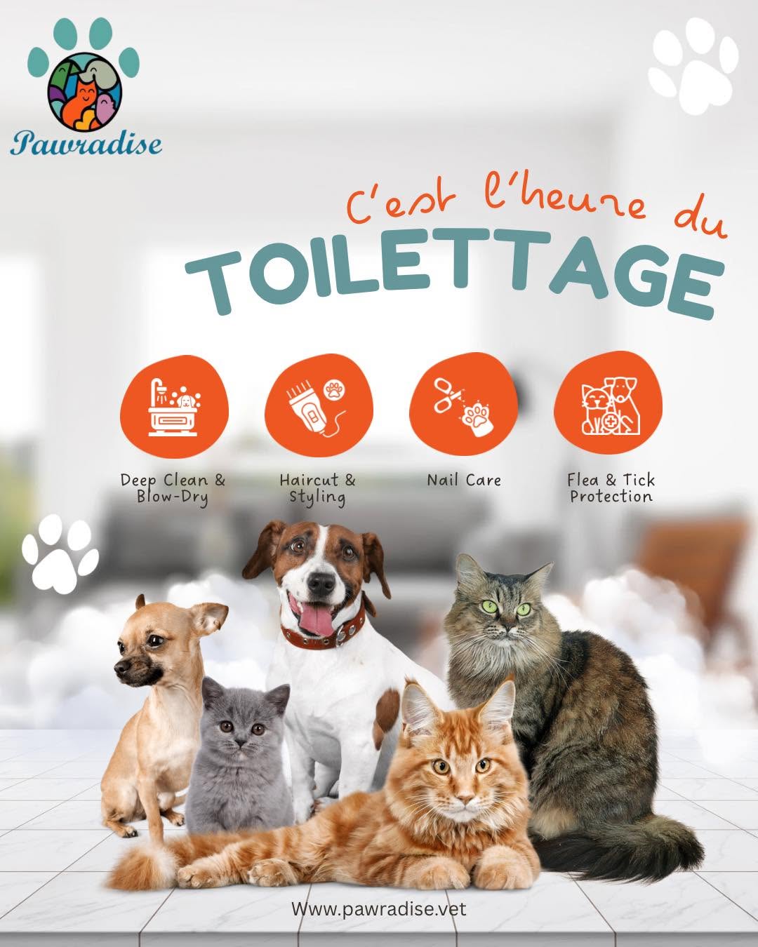 Offrir un toilettage à votre compagnon, c’est lui garantir confort, propreté et douceur au quotidien.
Bain, brossage, coupe et soins : chaque geste compte pour garder sa peau saine, son pelage brillant et son moral au top.

Chez nous, chaque animal est chouchouté avec patience et douceur…
Parce qu’un animal bien toiletté, c’est un animal heureux. 🐾💛