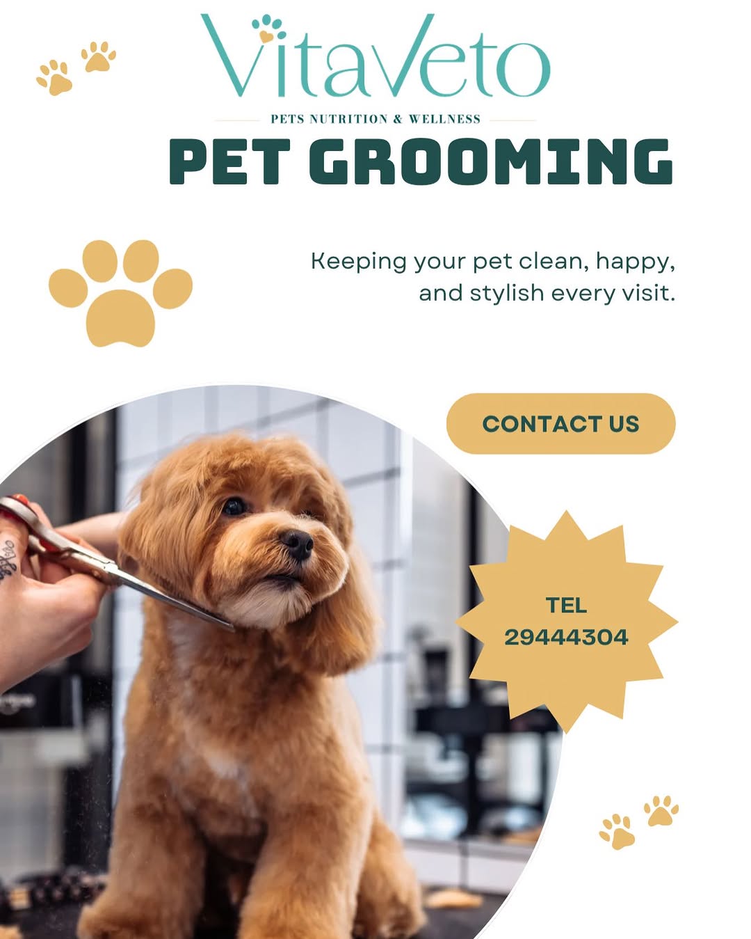 Pas de description disponible