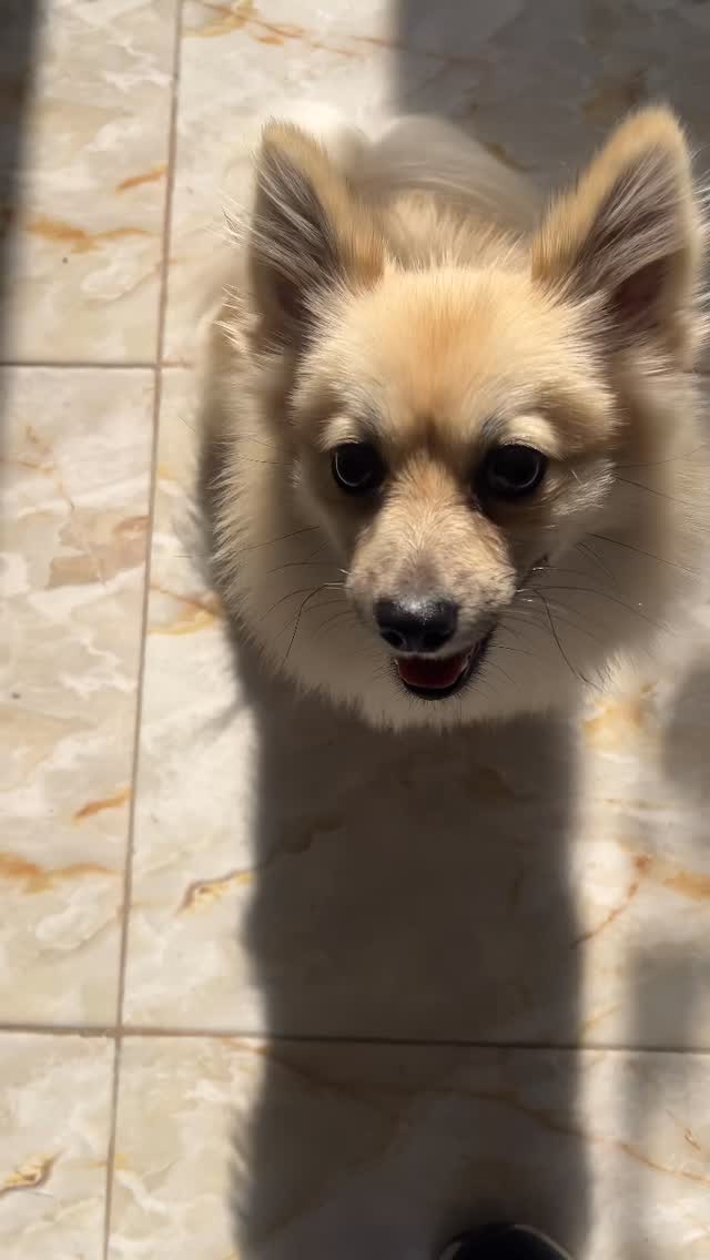 Le bonheur tient parfois en quelques cou...