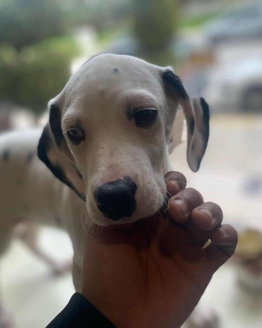 Qui peut résister à un regard aussi doux...