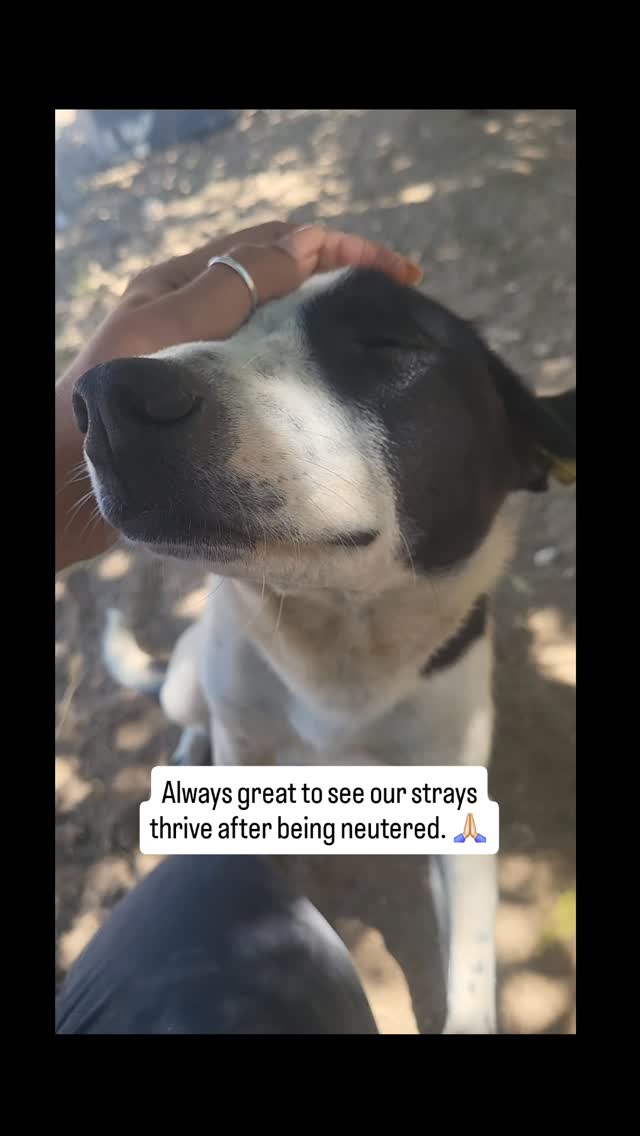 They're all so sweet and kind. May they...