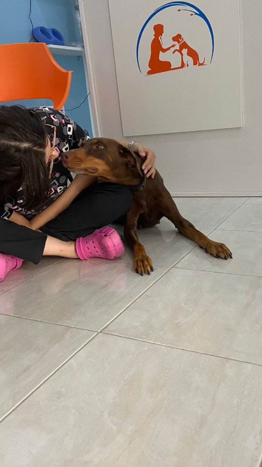 ✨ Aria, notre petite guerrière ✨

Elle...