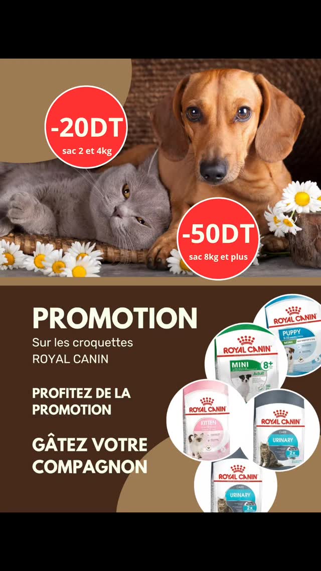 Profitez de la PROMOTION et GÂTEZ vos lo...