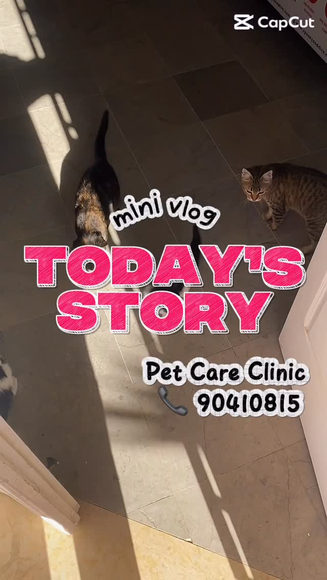 My lovely day ♥️ #pet #animal #animals #...