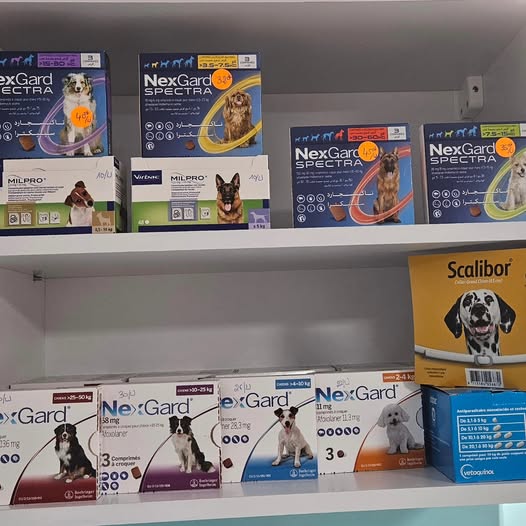 🐾 Protégez vos compagnons toute l’année...