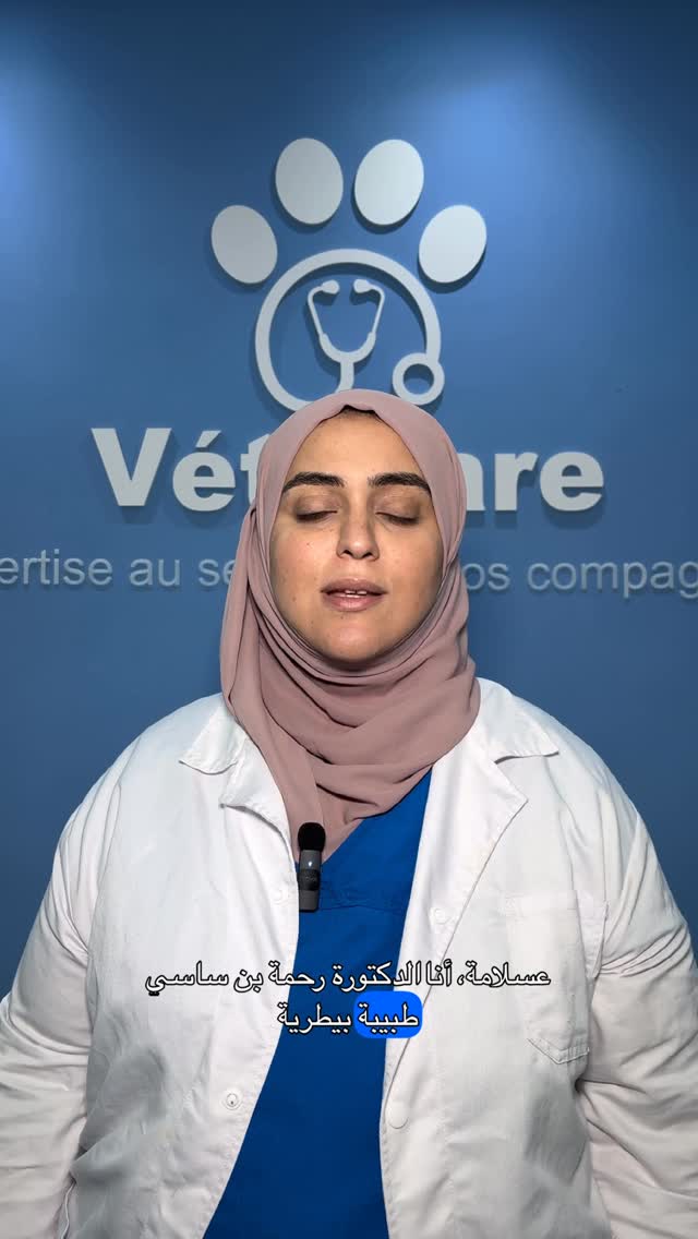 كل نظرة، كل صوت، وكل نفس يستحق فرصة ثانية 💕
‏‎السرطان ينجم يمس حتى حيواناتنا، أما مع المتابعة والعلاج المناسب، ديما فما أمل 🐾

‏Chaque regard, chaque ronron, chaque battement de queue mérite une seconde chance 💕
‏Le cancer peut toucher nos compagnons, mais avec un bon suivi et un traitement adapté, l’espoir existe 🐾

‏📍Immeuble étoile de l'orient, à proximité de pâtisserie la reine, Nouvelle Médina 3, Ben Arous

📞 52 233 160 - 28 63 64 62

‏#vetocare #veterinaire #pet #vet #animals #cat #dog #tumeurmammaire #prevention #كلب #قطط