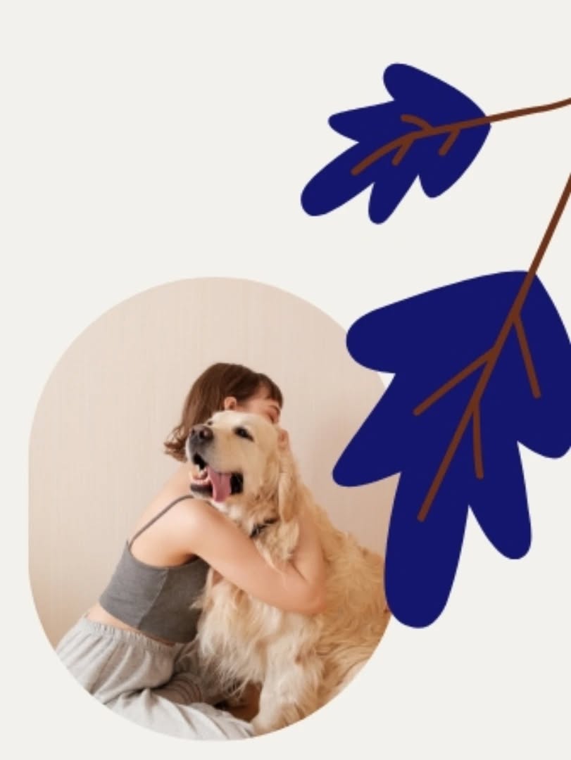 Pas de description disponible