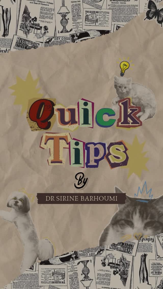 🐾 Conseils Vétérinaires – Épisode 2 🥛...