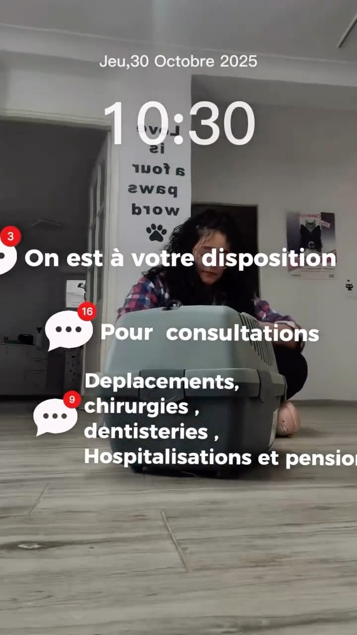 Nos services 🩷✨
#veto#animaux#cats#paw#...