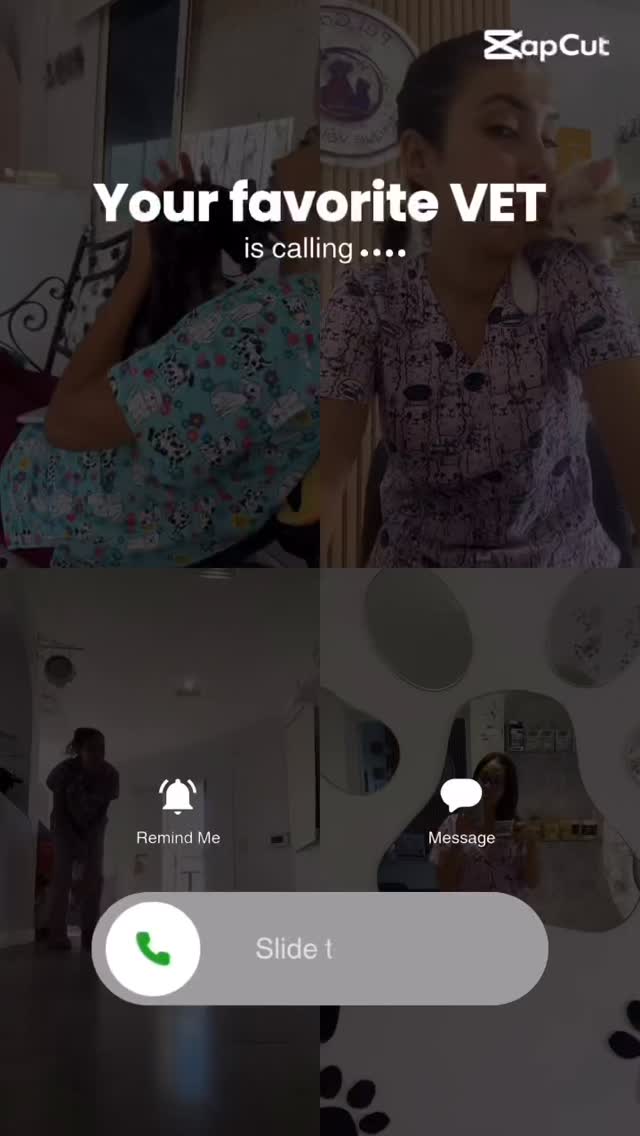 Who’s calling..??? #animal #pet #animals...