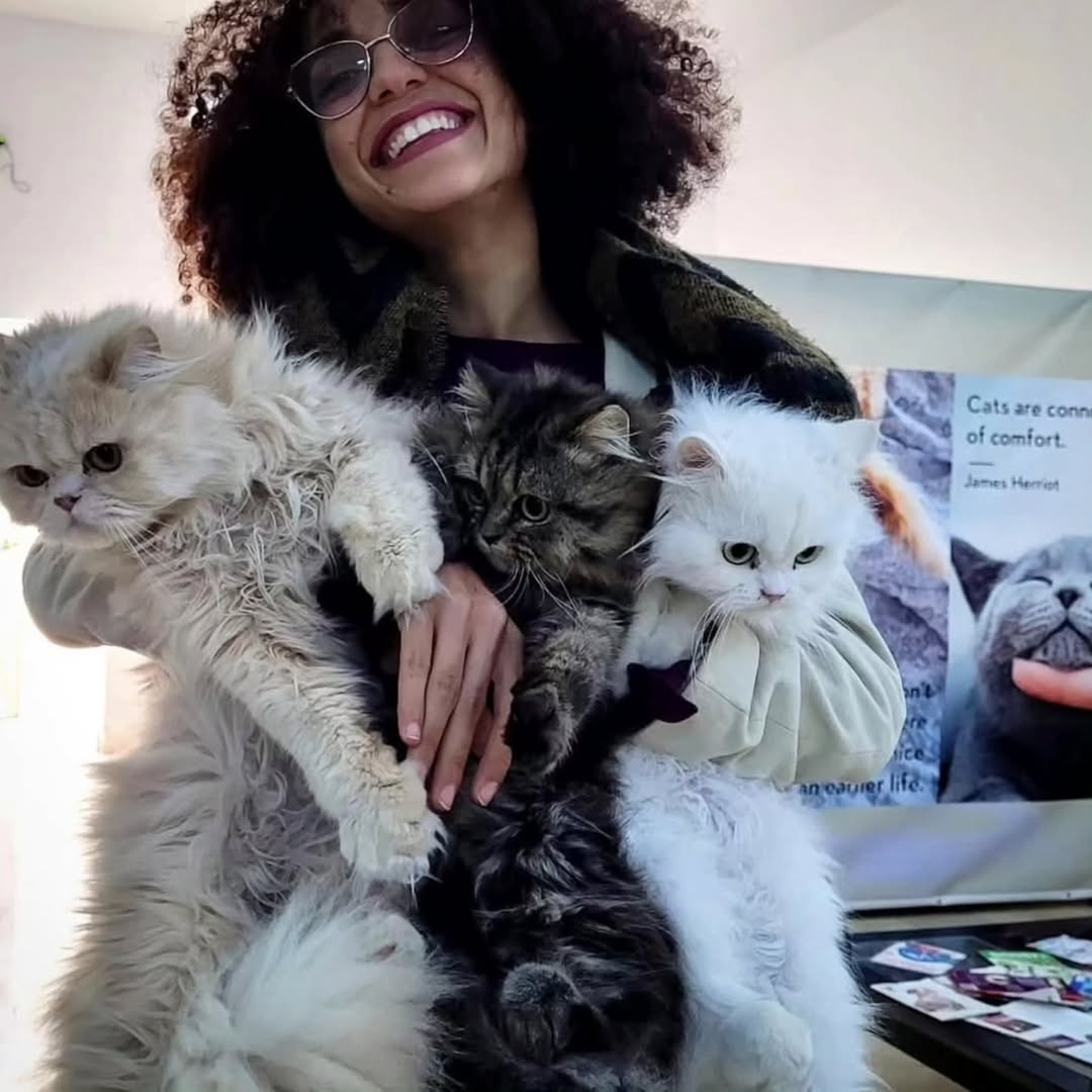 باللهي ثبتوا مليح قبل ما تضرو العباد بال...