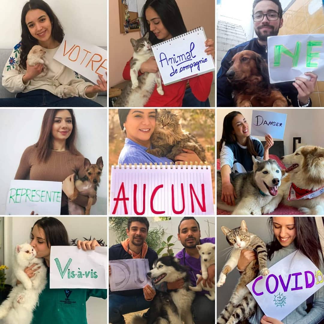 En tant que  médecins vétérinaires 👩‍⚕️...