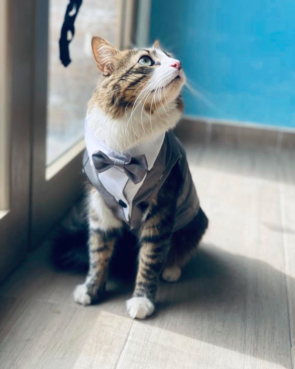 Le secret du style ? 🤔😍
Demandez à Tch...