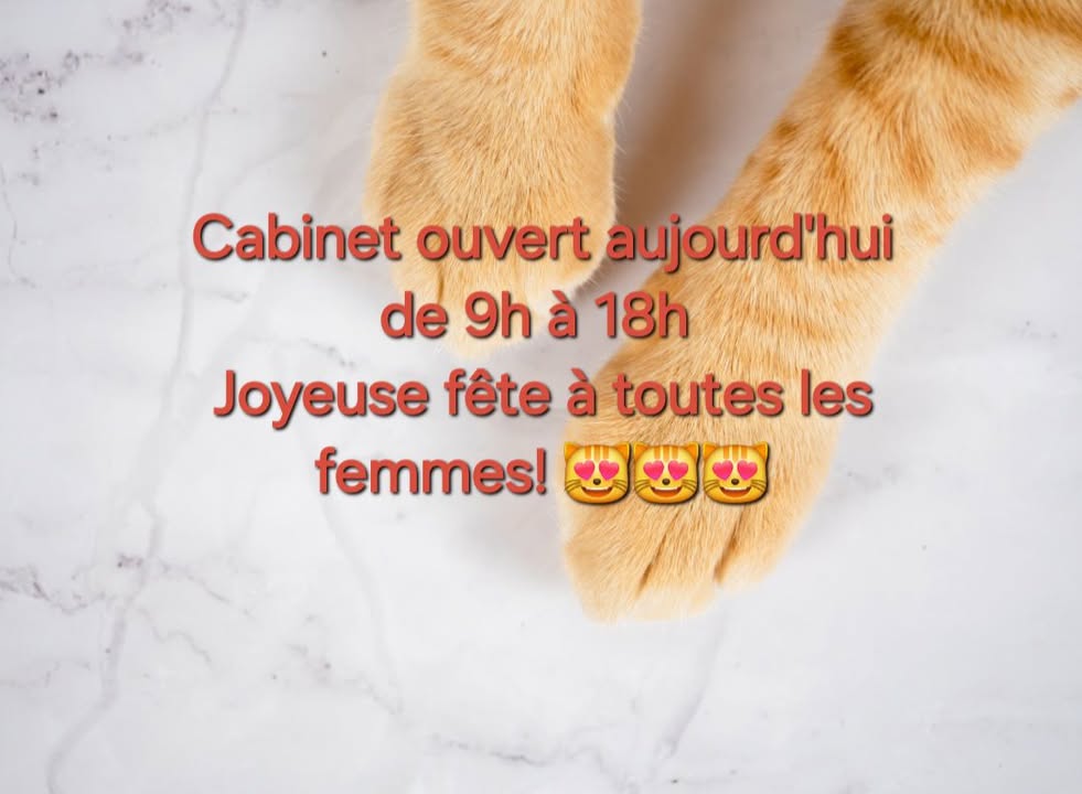 Pas de description disponible