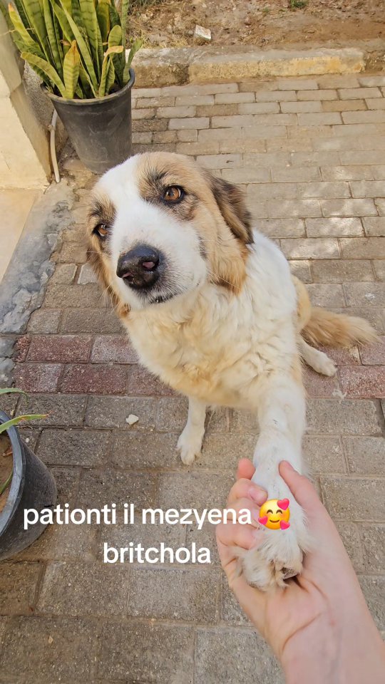 Pas de description disponible