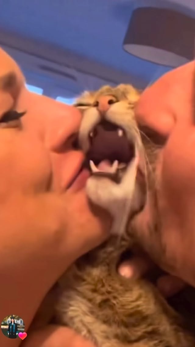 زعما قطوسك موافق عالبوسة المرصوصة؟؟؟ I d...