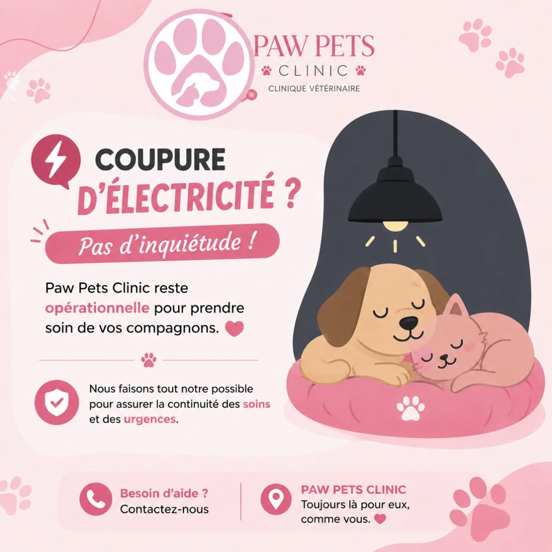⚡🐾 Coupure d’électricité ? Pas de pani...