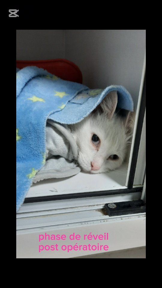 Pas de description disponible