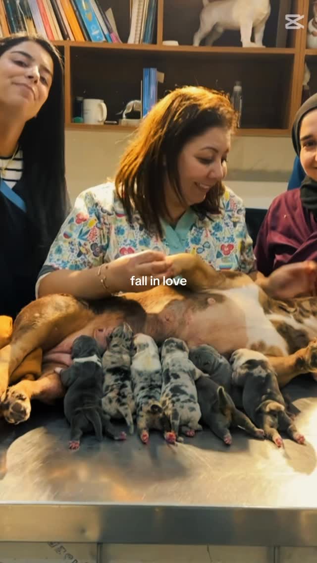 When you are in love with your work 😍