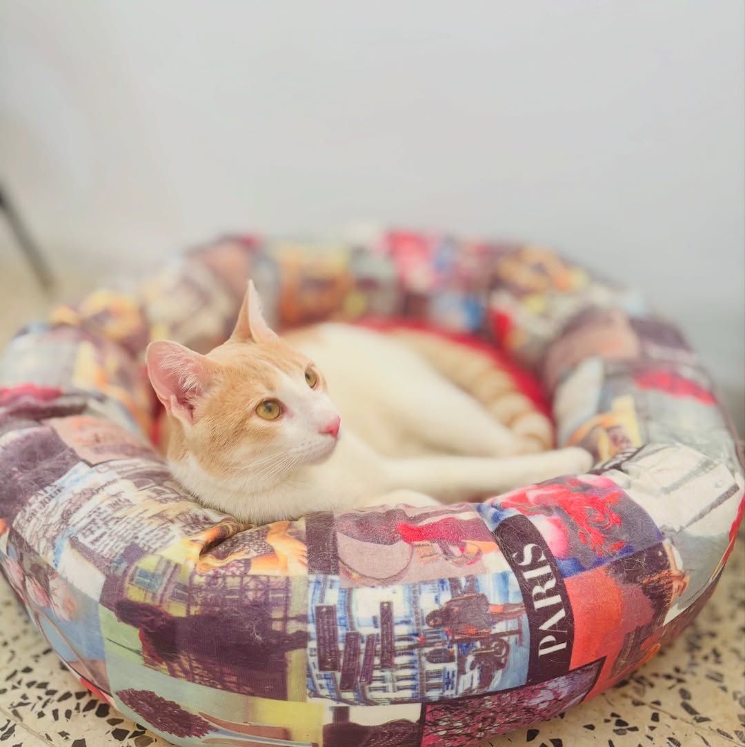 The cuteness 🥹🥰