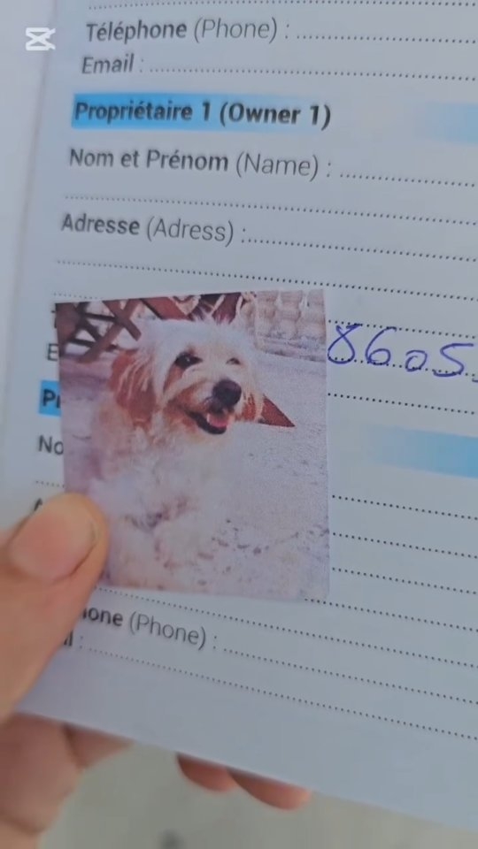 نستنى تشجيعكم 🥰
#vlog #vetroutine #vetl...