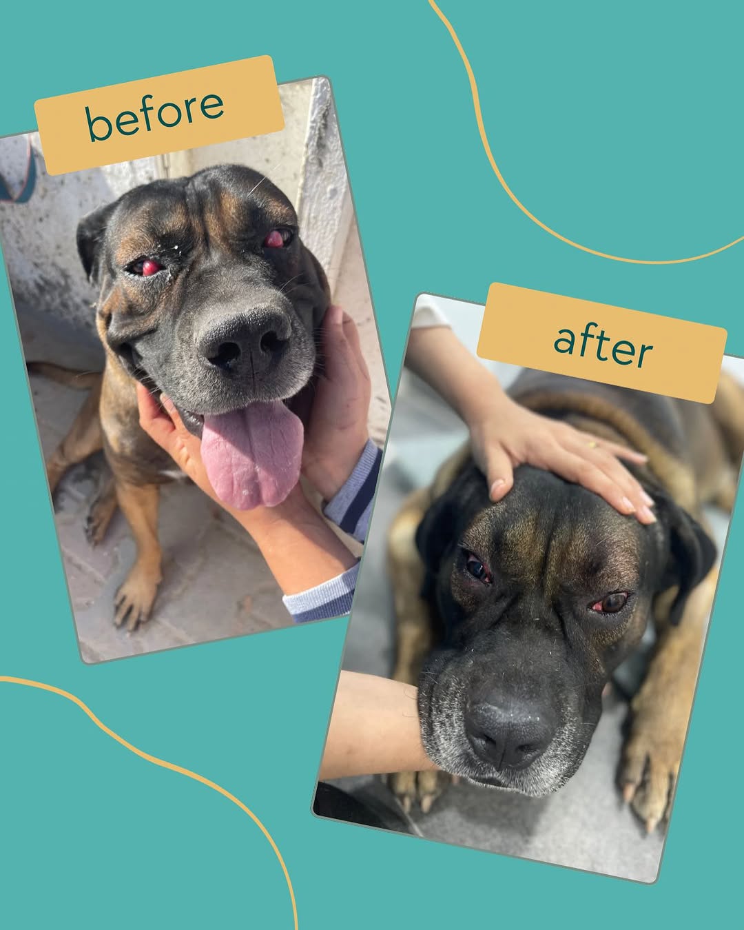 Son regard parlait de gêne… aujourd’hui...