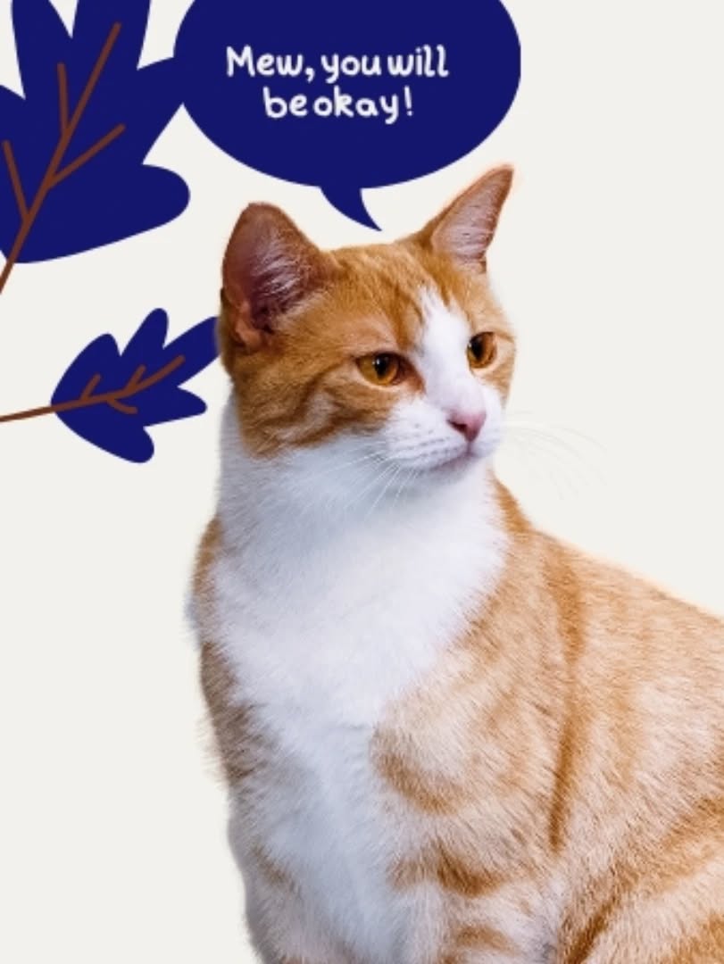 Pas de description disponible