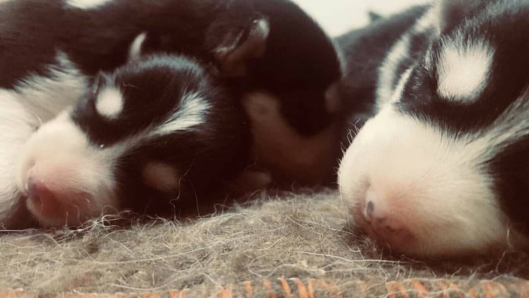 Pas de description disponible