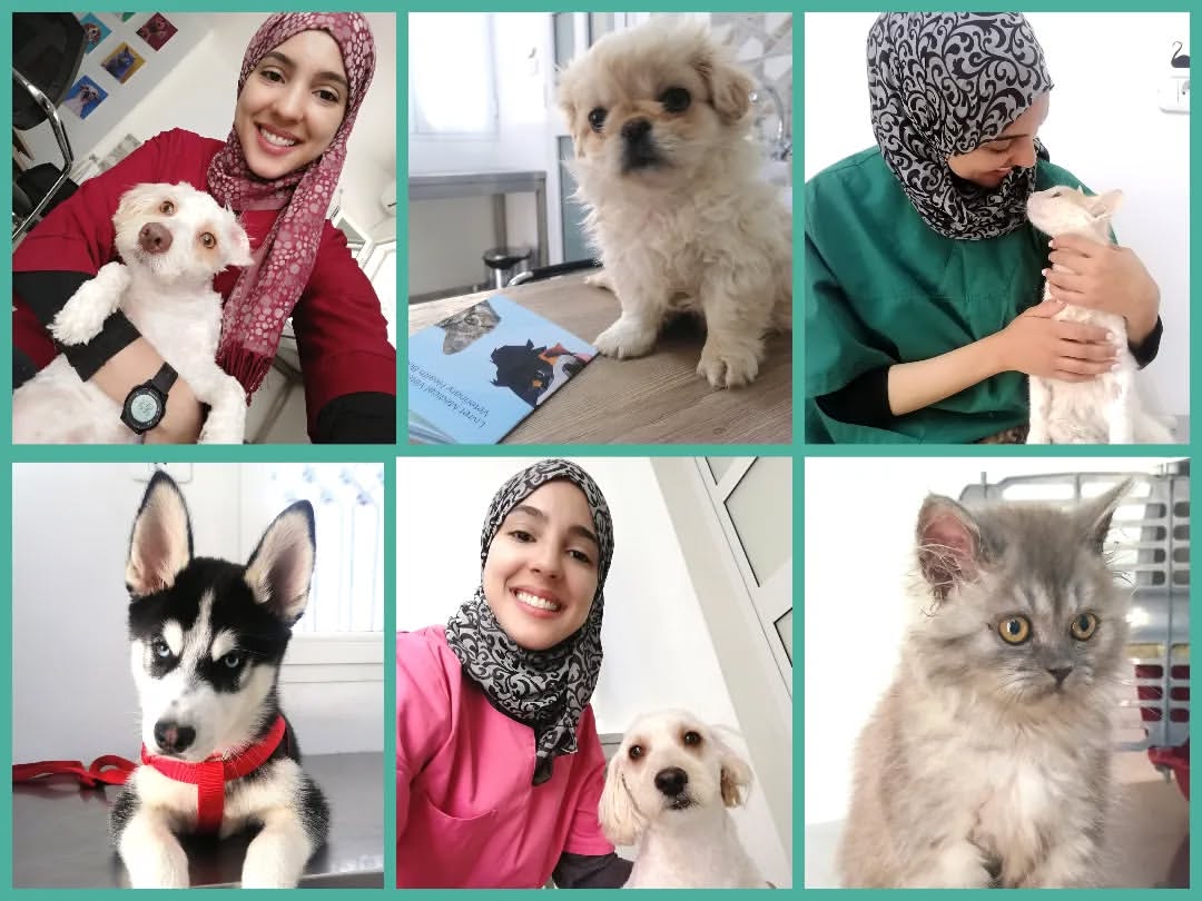 Notre cabinet fête son 2ème anniversaire...