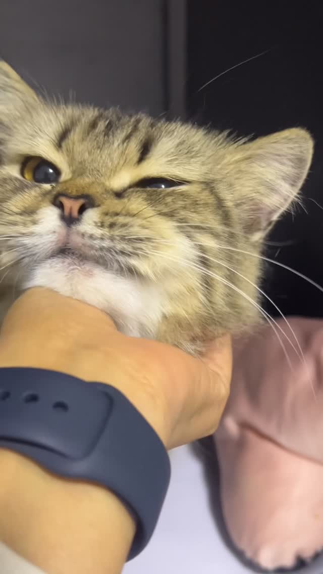 Un moment de tendresse partagée ♥️
#Mome...