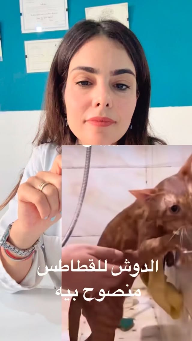 الدوش للقطاطس!؟؟ منصوح بيه ؟؟ 🚿🧼🧴