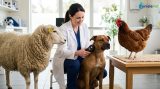 Identification des animaux : le guide complet pour bien débuter