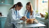 Empoisonnement chez l'animal : le guide complet pour bien réagir