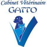 GATTO Mourouj1