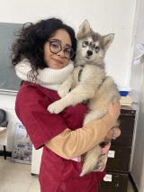 Paw pets clinic