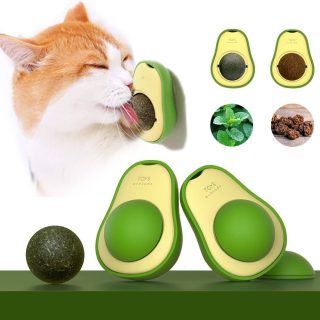 L’avocat le plus mignon que ton chat va adorer croquer